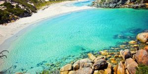 Find out more about Albany Holiday Park