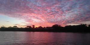 Find out more about Rose Gardens Beachside Holiday Park