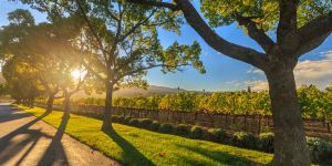 Find out more about Swan Valley Tourist Park